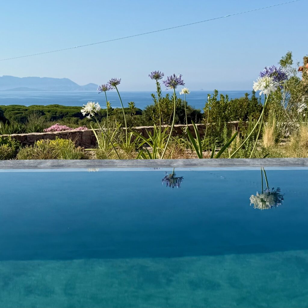 Tavolora, Agapanthus & infinity-pool