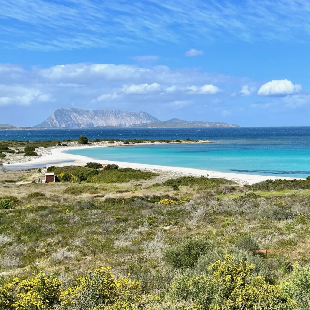 Spiaggia Isuledda 1:1