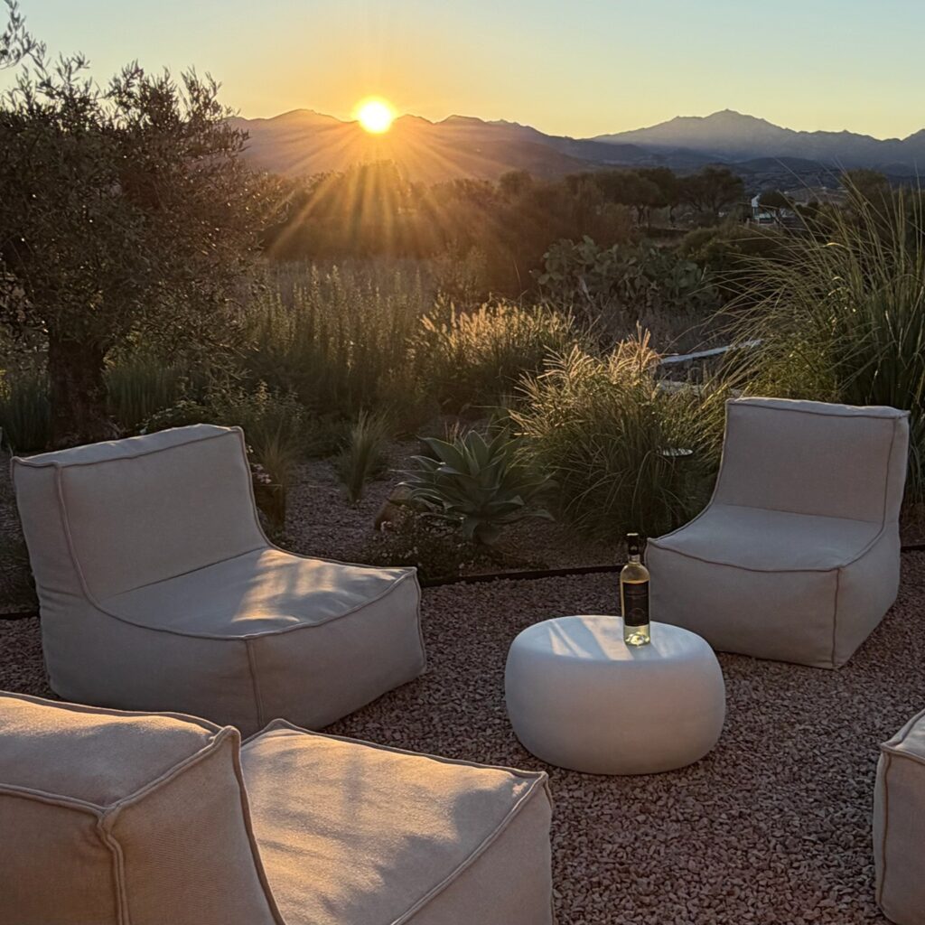 Garden bean bags